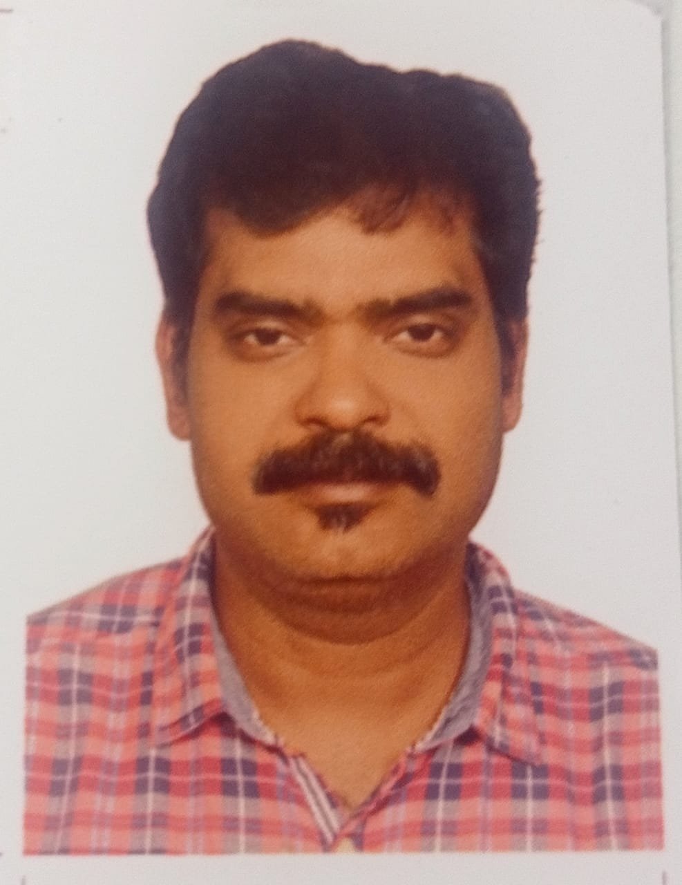 profile card